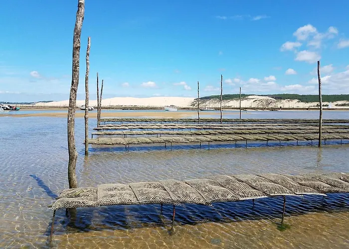 Moderne 6 Pers, Centre Arcachon, Avec Parking - Fr-1-474-280 * Arcachon